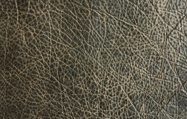 t011bcba77832da32f8.jpg t011bcba77832da32f8.jpg